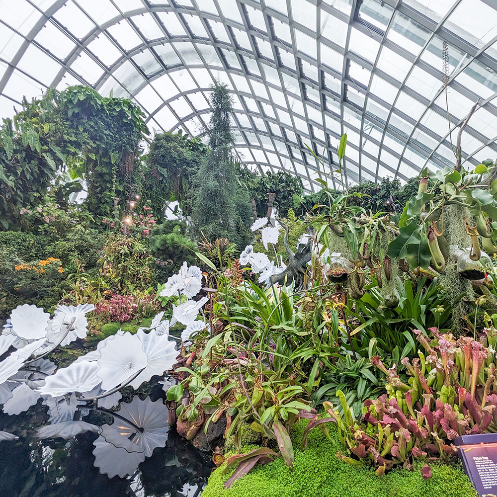 Gardens by the Bay